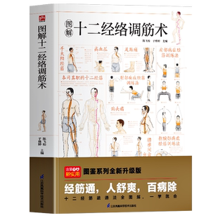 图解十二经络调筋术书籍正版 人体十二经络疏通法全图解 中医经筋疗法图解调节经络 经筋常见病症康复训练指导中医古传调经术书籍