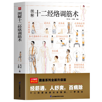 图解十二经络调筋术书籍正版