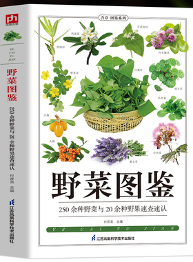 野菜图鉴 250种野菜与20余种野果速查速认 野菜大全书 野外认采中草药野菜图鉴 野生植物花草识别图解饮食宜忌科普书 食用野菜书籍