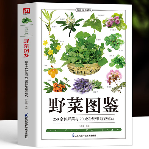 野菜图鉴食用野菜中药识别图鉴