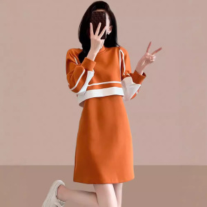 2024秋季新款女士连衣裙女装遮肚子减龄假两件套裙子小个子爆款