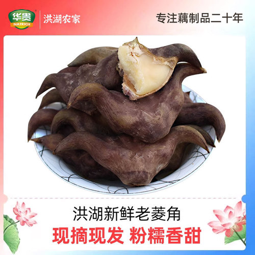 洪湖新鲜老菱角米粉糯香甜