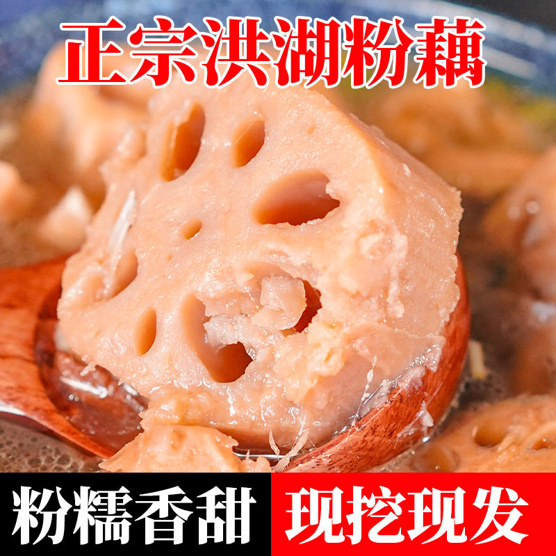 5斤正宗洪湖新鲜粉藕现挖现发