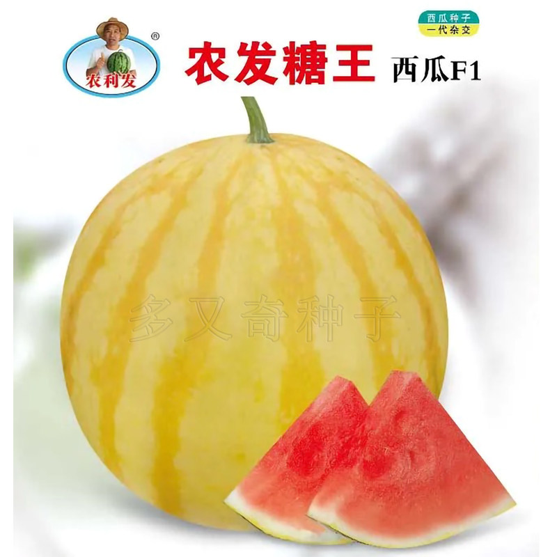 农发糖王西瓜种子 春棚室露地种植金黄皮大红瓤有籽西瓜肉质沙脆