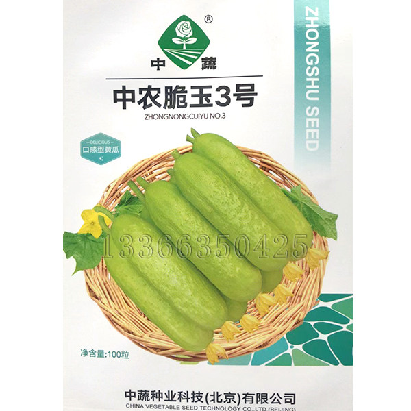 中农脆玉3号黄瓜种子 黄白皮青瓜种子脆甜黄瓜种子中国农科院种子