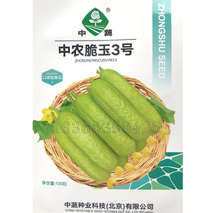 中农脆玉3号黄瓜种子 黄白皮青瓜种子脆甜黄瓜种子中国农科院种子