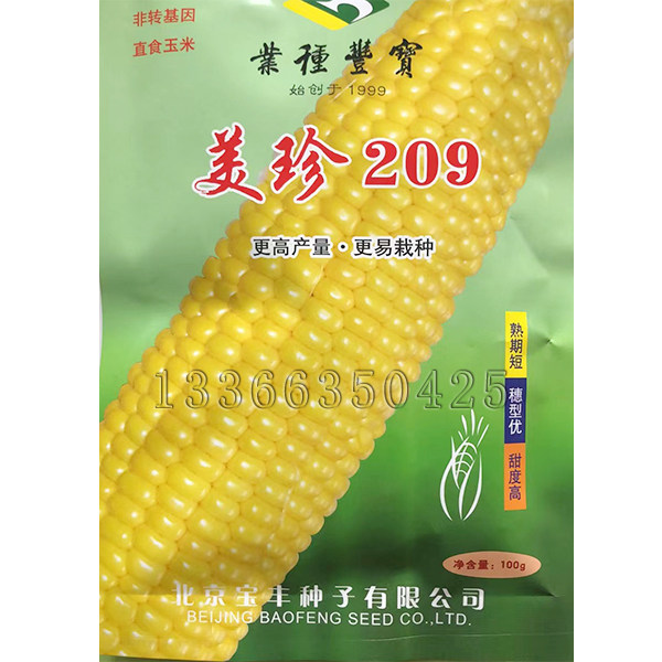 美珍209玉米种子  春秋早熟高秧纯黄甜玉米种子超甜水果玉米种子