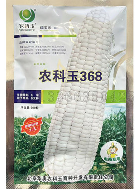 春播甜加糯白色糯玉米种子