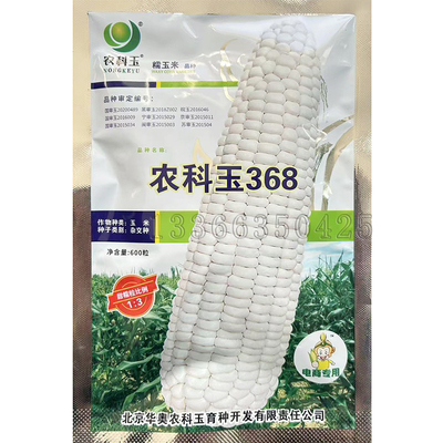 春播甜加糯白色糯玉米种子
