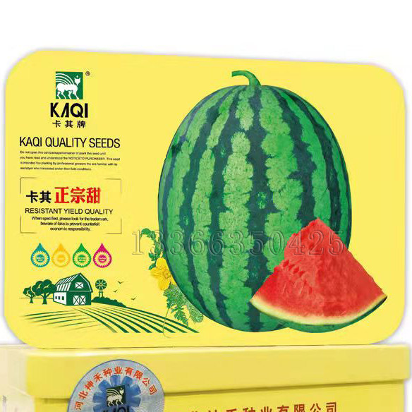 卡其正宗甜王西瓜种子 春播橄榄形甜脆多汁有籽西瓜种子水果种子