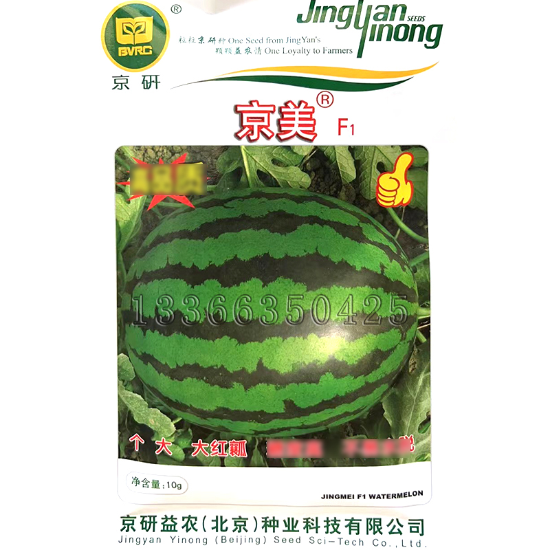 京美F1西瓜种子 冬春播甜王类椭圆皮薄红瓤质脆爽西瓜籽水果种子