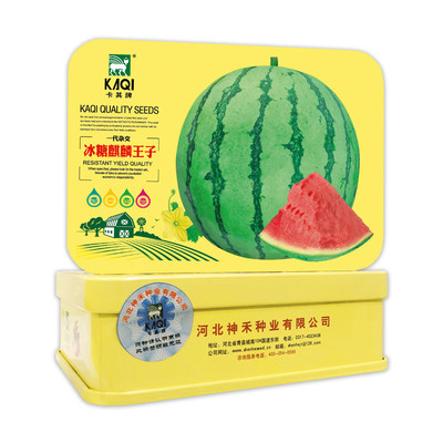 冰糖麒麟王子西瓜种子 早熟薄皮蔬菜种子/种苗