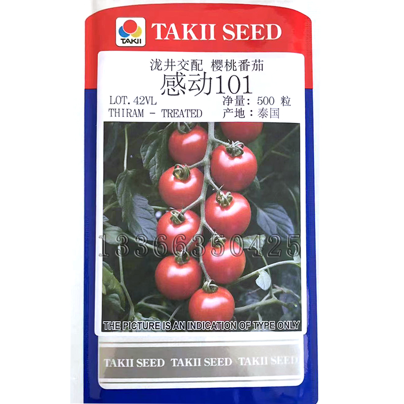 感动101番茄种子 春秋播早熟无限生长深红圆果樱桃小番茄籽口感好