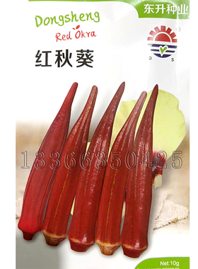 红秋葵种子 春播红色羊角豆种子庭院阳台盆栽种菜观赏食用蔬菜籽