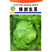绿剑生菜种子 春秋早熟圆形深绿叶结球生菜籽抽薹晚紧实蔬菜种子