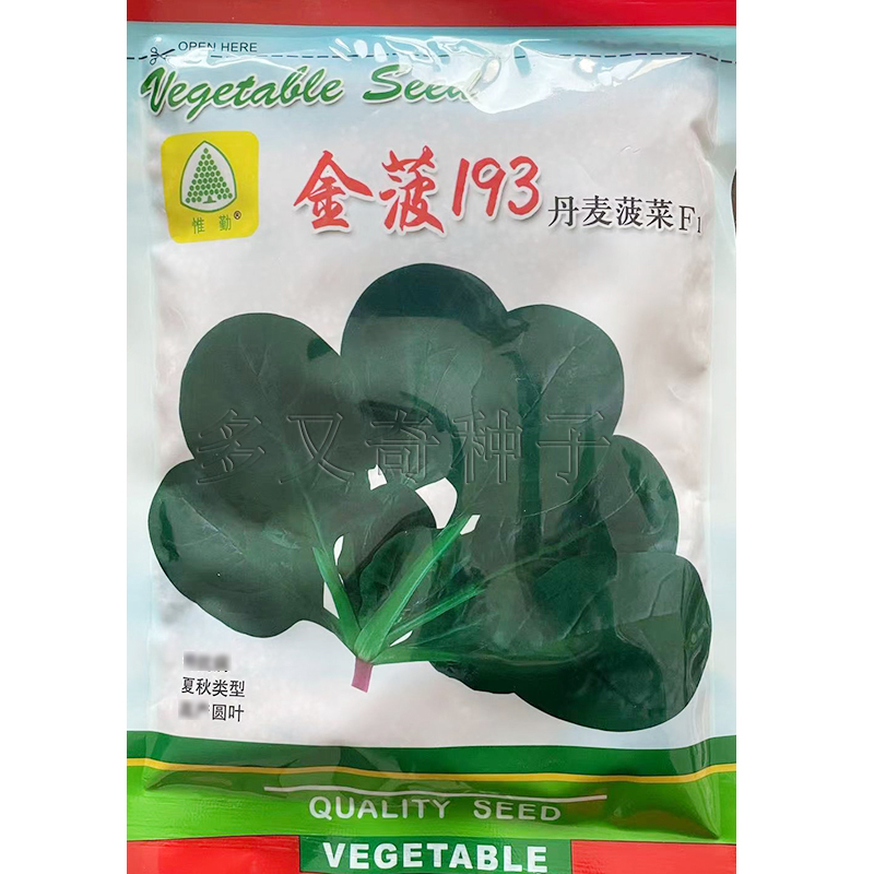 金菠193菠菜种子 丹麦引进春夏秋播爬地菠菜籽深绿大叶耐热蔬菜籽