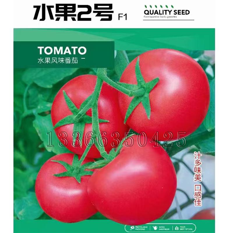 水果2号番茄种子 春秋棚室露地播粉果水果西红柿种子口感甜风味好