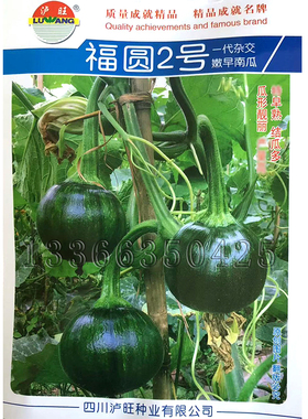 福圆2号南瓜种子 春播早熟青皮近圆形亮绿色菜嫩南瓜种子蔬菜种子