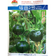 福圆2号南瓜种子 春播早熟青皮近圆形亮绿色菜嫩南瓜种子蔬菜种子