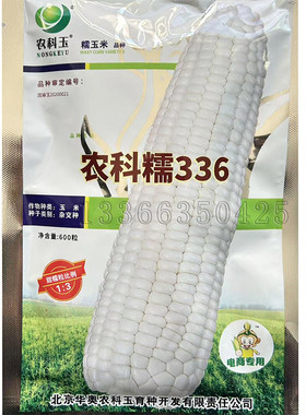 春播鲜食甜糯彩糯玉米种子