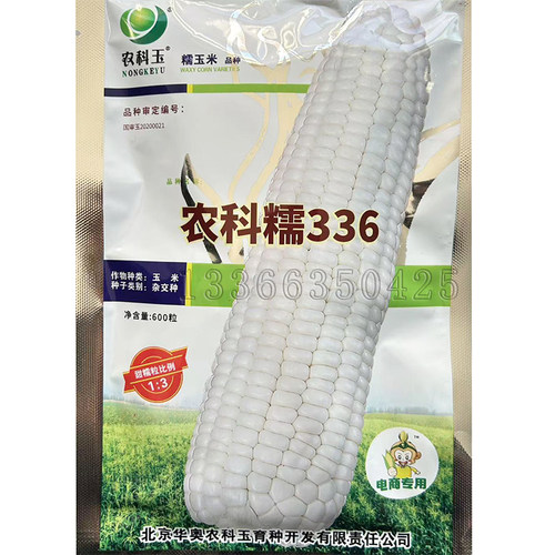 春播鲜食甜糯彩糯玉米种子