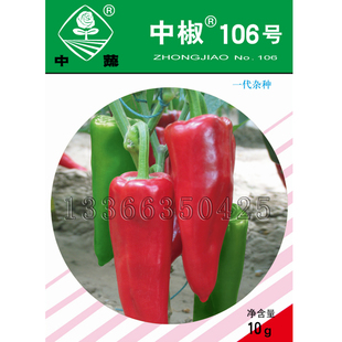 中椒106号辣椒种子 春露播中早熟粗大牛角椒种子微辣亮红蔬菜种子