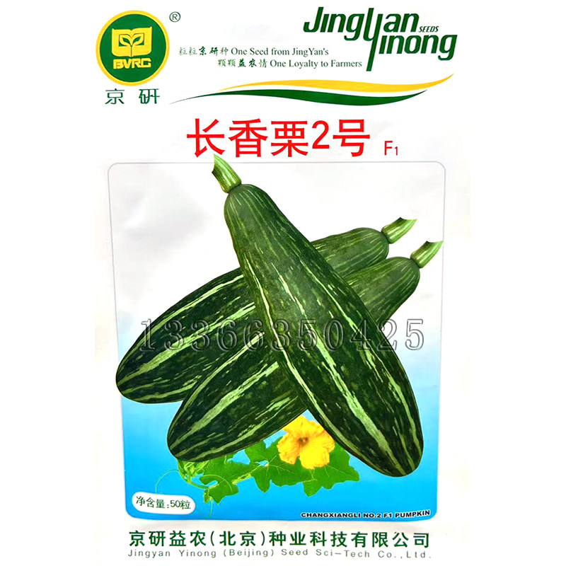 长香栗2号南瓜种子 春播绿皮花纹长形南瓜籽甜糯粉板栗风味蔬菜籽