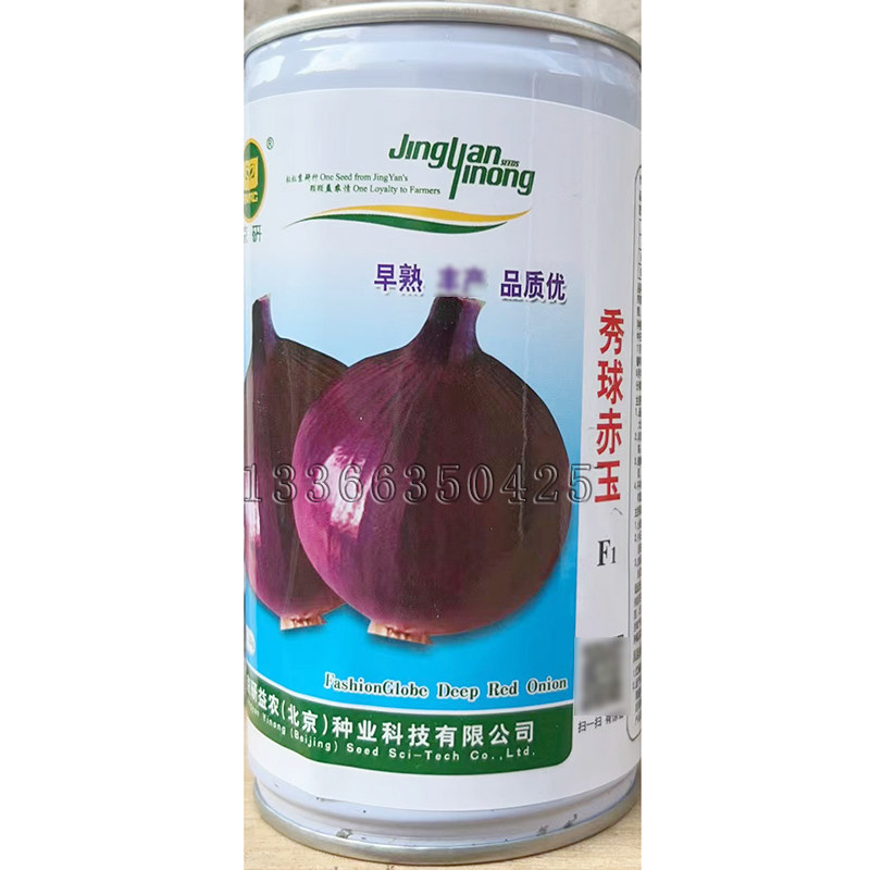 秀球赤玉洋葱种子 秋播早熟紫皮圆葱头种子圆球形中日照蔬菜种子