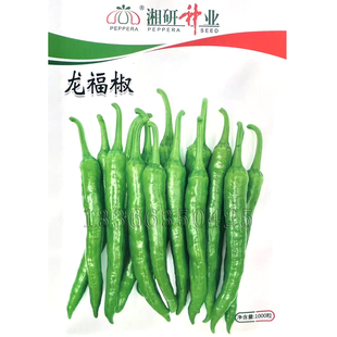 龙福椒种子 春秋播早熟软皮味香辣小尖椒种子薄皮质脆嫩蔬菜种子