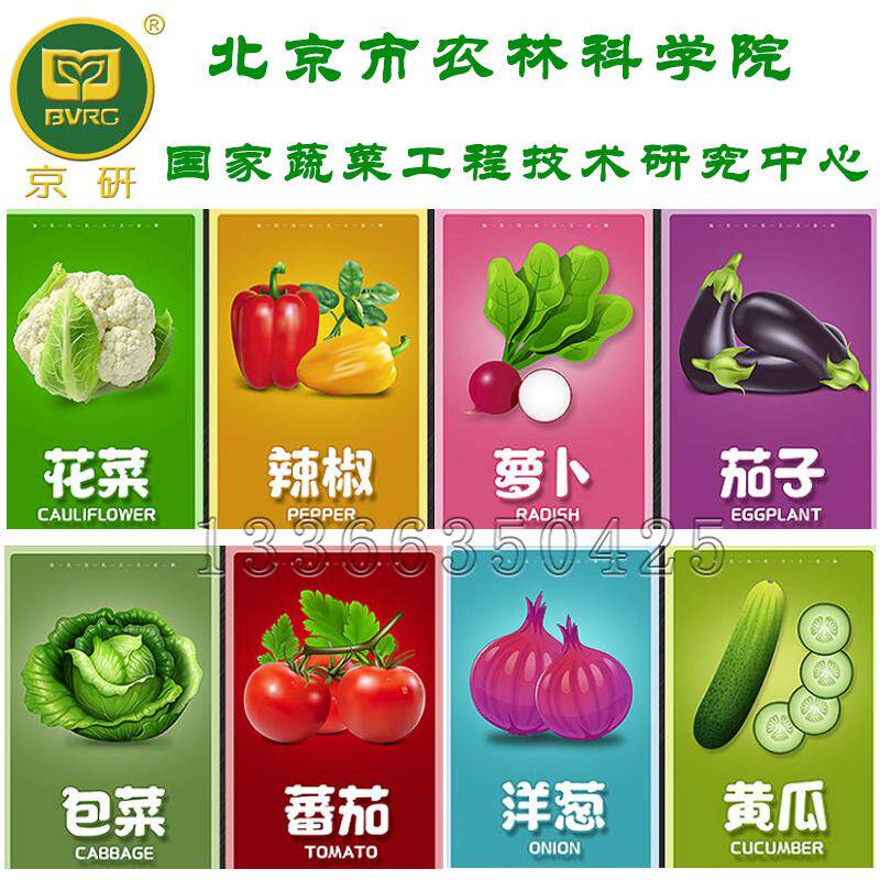 京研农科院种子 家庭装蔬菜种子家庭园艺种子