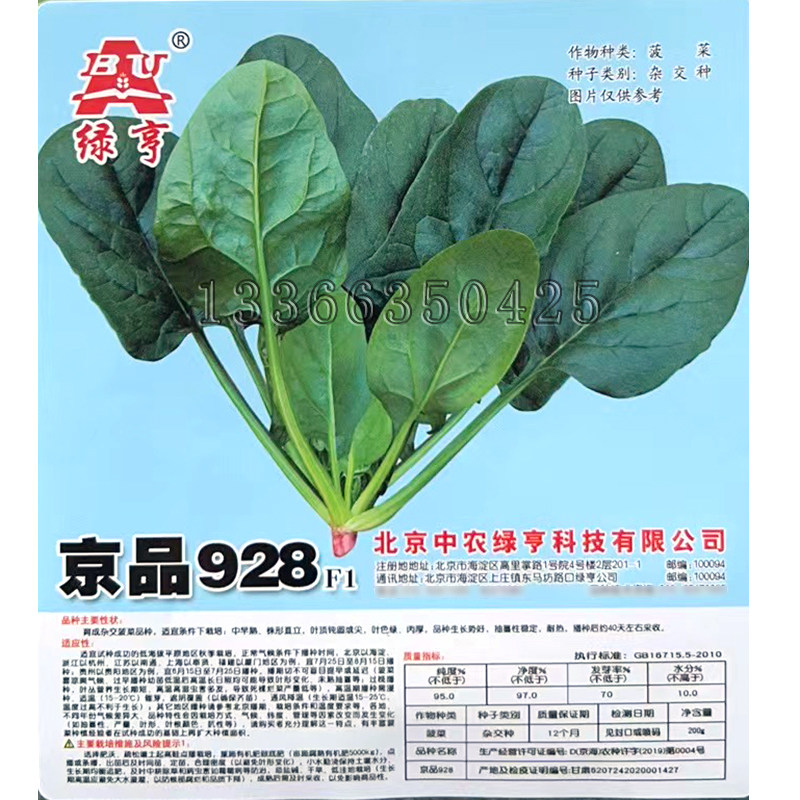 京品928菠菜种子 秋播中早熟绿叶肉厚株型直立耐热菠菜籽蔬菜种子