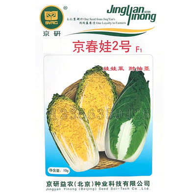 京研春秋黄心娃娃菜种子