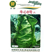 牛心8号甘蓝种子 春秋播早熟牛心白卷心菜包菜种子品质好蔬菜籽