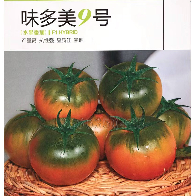 味多美9号番茄种子 绿肩高圆水果西红柿种子糖度高酸甜细腻风味佳