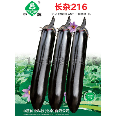 长杂216茄子种子  春播中早熟紫黑长茄种棒形长势强果实硬蔬菜籽