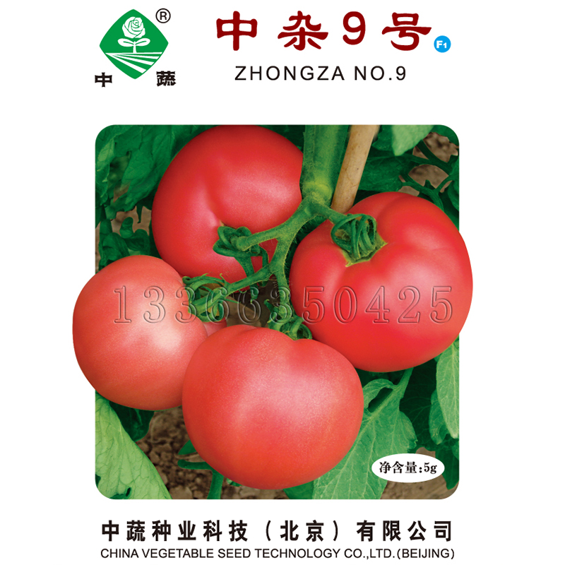 中杂9号番茄种子 春秋栽培粉红沙瓤西红柿种子圆形口感好蔬菜种子