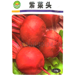 紫菜头种子 秋播根甜菜种子圆形紫红肉纤维少质柔嫩根茎蔬菜种子