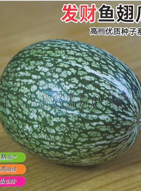鱼翅瓜种子 秋播早熟花硬皮黑籽南瓜米线瓜粉丝瓜看瓜籽南瓜种子