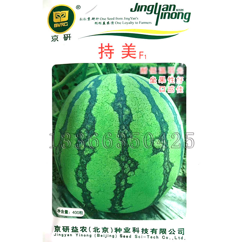 持美西瓜种子 春秋播早熟圆形红瓤皮薄脆嫩西瓜籽口感好水果种子