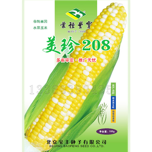 美珍208甜玉米种子 春播温带类型双色超甜水果玉米种子鲜食玉米籽