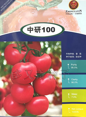 北京中研益农粉红大果春播番茄籽