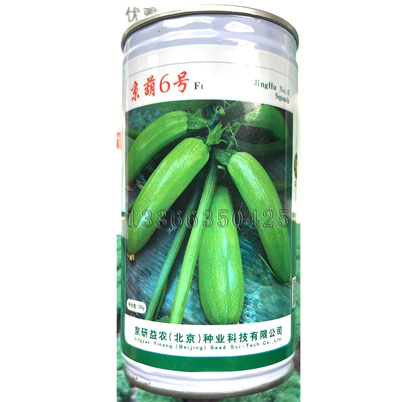 京葫6号西葫芦种子 春播早熟翠绿色植株矮生瓜码密角瓜种子蔬菜籽