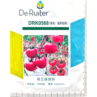 温室冬春茬粉红大果西红柿沙瓤酸甜皮薄口感好 普罗旺斯番茄种子
