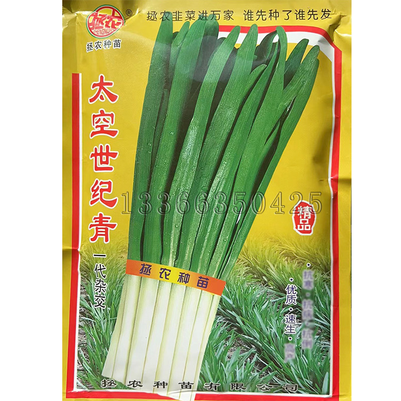 太空世纪青韭菜种子 春秋播大叶深绿色韭菜籽多年生绿色蔬菜种子