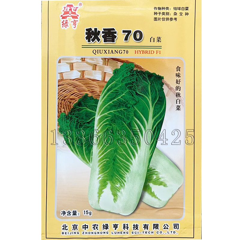 秋香70白菜种子 秋播中熟浅青帮直筒合抱帮薄口感好大白菜蔬菜籽