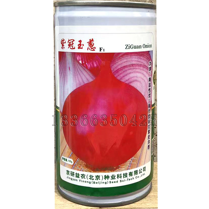 紫冠玉葱洋葱种子 秋播紫皮洋葱籽肉浅紫色葱头种子圆球形蔬菜籽
