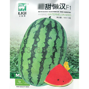 甜懒汉西瓜种子 春夏播椭圆红瓤脆甜有籽西瓜种子质脆多汁水果籽