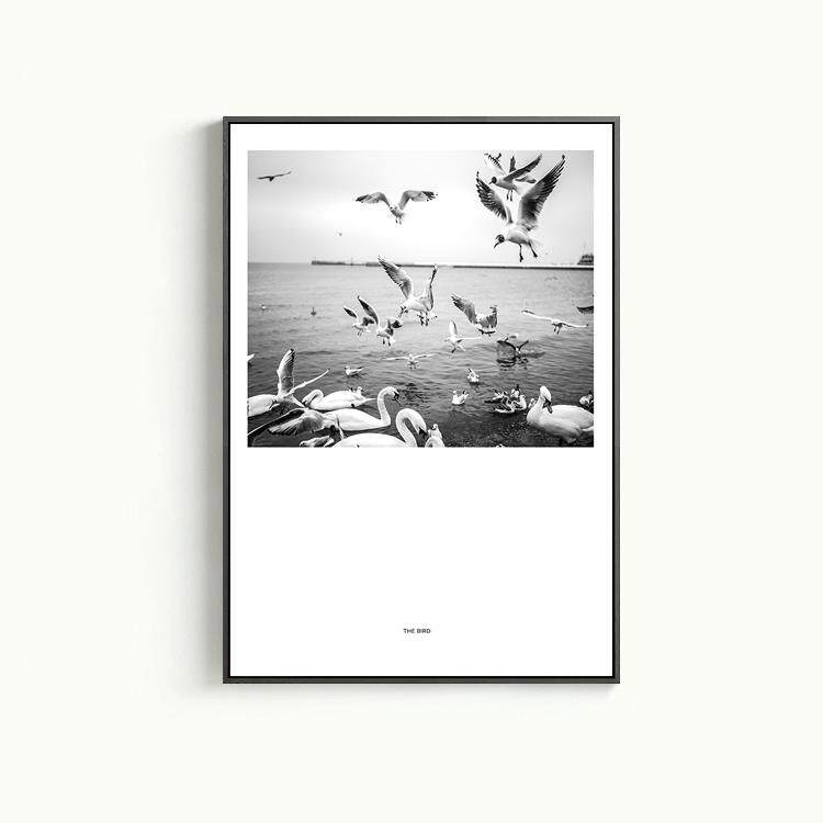 北欧 海鸥群鸟黑白 摄影海报画芯现代北欧风格海报装饰画