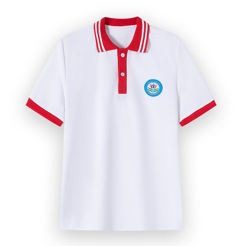 涞水小学校服夏季款学校统定同款