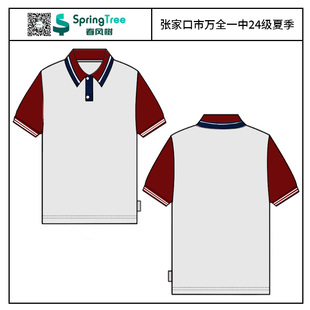 张家口万全一中校服夏季款24级短袖学校统定男女学生同款POLO衫